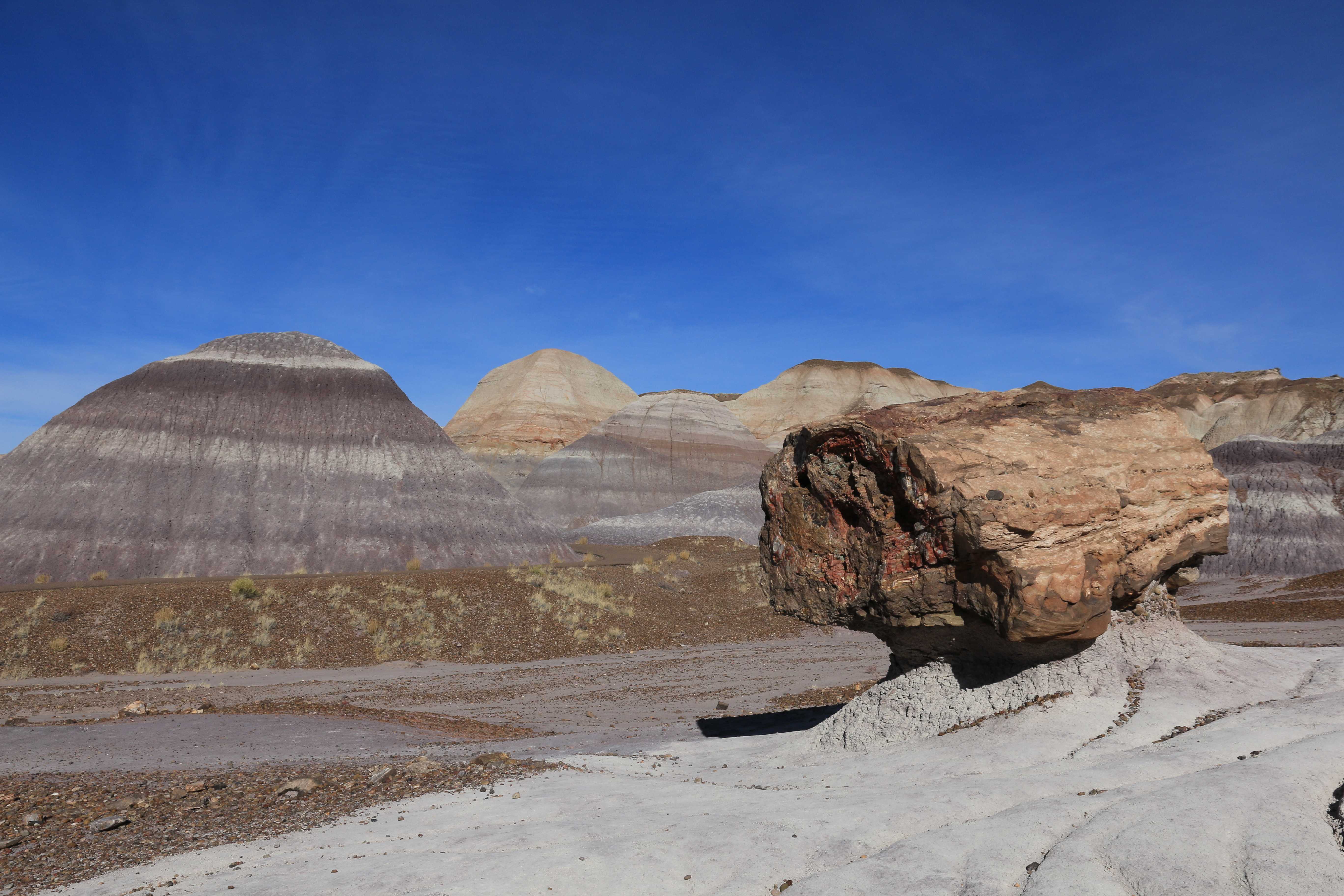 Petrified Forest NP